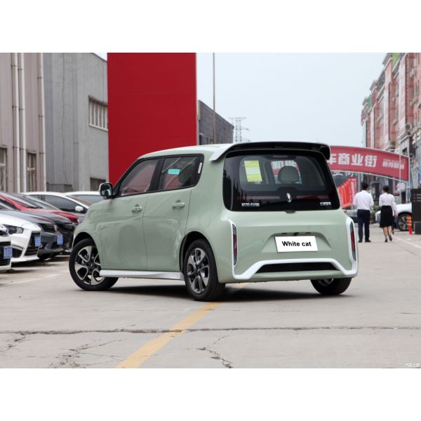 Pure Electric 48 Horsepower ORA White Cat 305km Range 4-Seater Hatchback Energy Vehicle 0km Used Mini Electric Car Adult