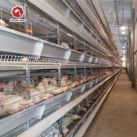 Anti tipo gaiolas da oxidação H de bateria da camada para galinhas poedeiras 108 pássaros/grupo