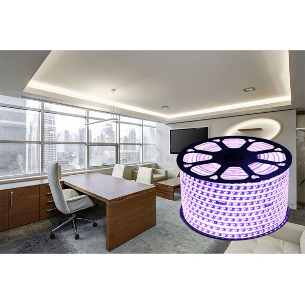 IP67 Rated Shineknot 5050 Series RGB LED Light Strip for Landscape Atmosphere Lighting