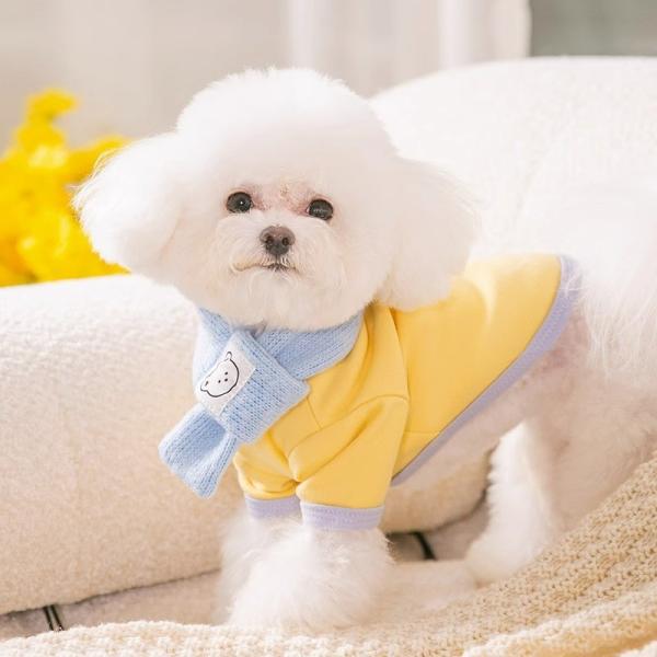 Pressure Relief Dog Wear Clothes Waterproof Breathable Dog T Shirt Custom Made