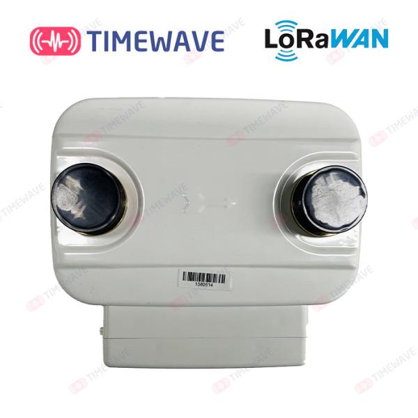LoRaWAN Remote Smart Gas Meter Wireless LoRaWAN Horizontal Installation For Consumption Monitoring Gas