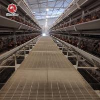 Poules pondeuses automatiques de ferme de couche d'oeufs de cages de poulet de batterie de volaille de type H 2mm