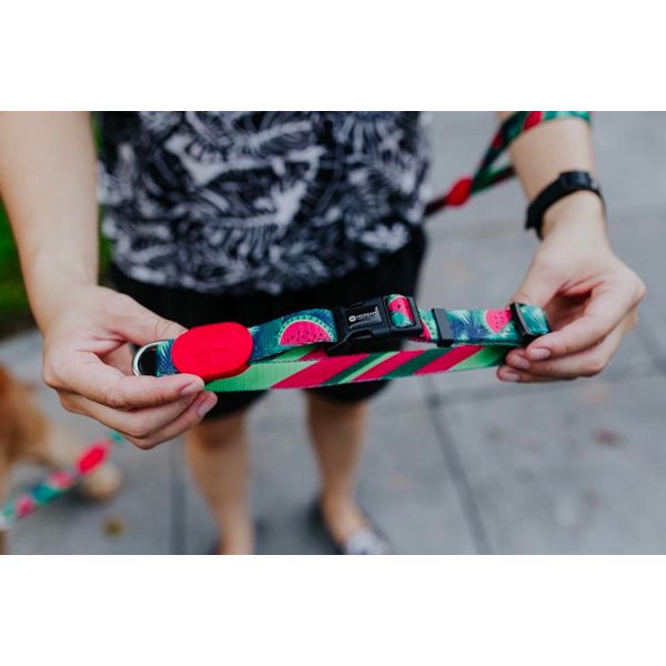 Watermelon Dog Collar And Leash Harness Reflective Dog Accessories