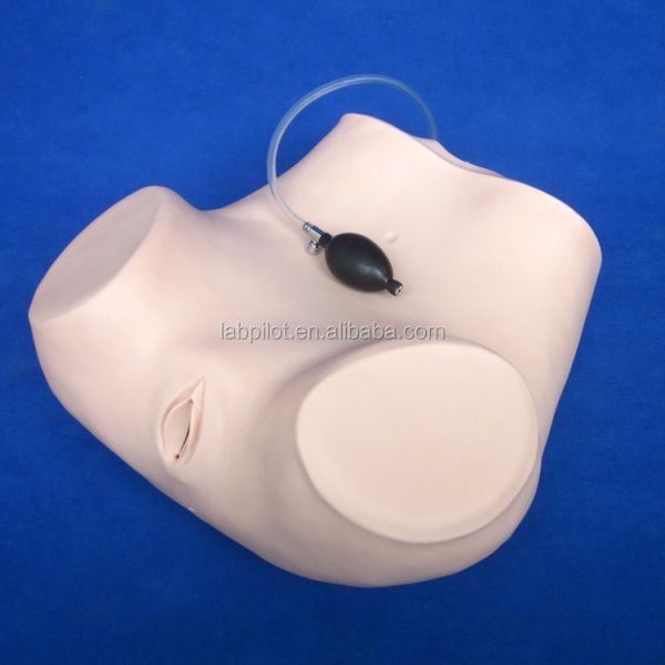 Comprehensive Gynecological Examination Training Manikin with Various Cervix and Uterus Models