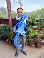 Bebê Animatronic realístico azul do dinossauro da simulação do fantoche de mão com asas