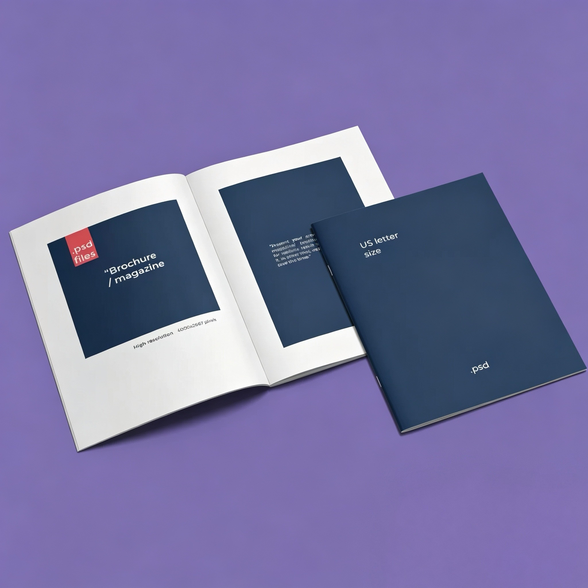 Corporate Brochure And Product Catalog Booklet With Saddle Stitch Binding