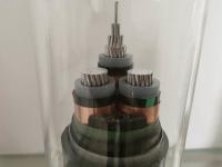 95mm2 Xlpe isolou o cabo SAA certificado