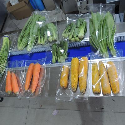 Plastic Automatic Pillow Type Packing Machine PLC Control For Bag Filling Sealing