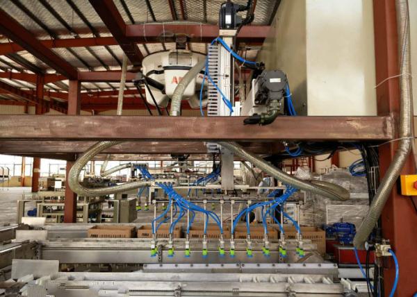 Less Human Power Robotic Packaging Machinery Food Fruit / Vegetable Industry Applied