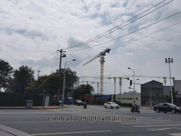QTZ100 Topless Tower Crane 198ft Boom PT6013 Model Cheaper Factory Cost