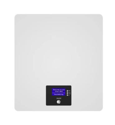 Wall Mounted Power Batterie 200ah 100ah 51.2v 48v