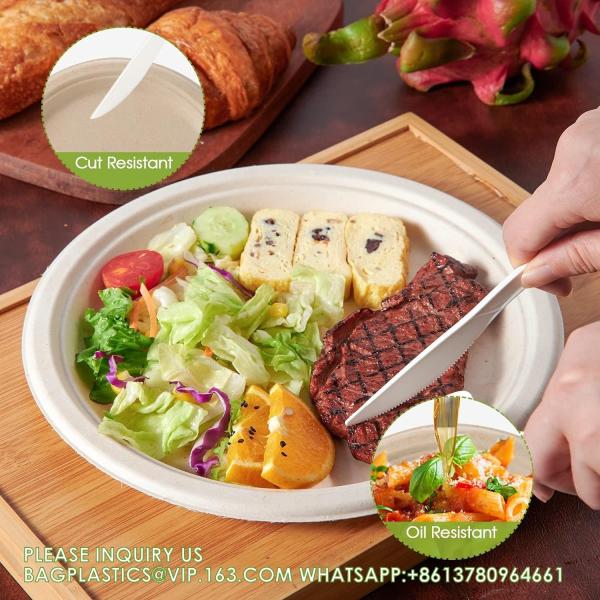100% Compostable 10 Inch Paper Plates, Heavy Duty Paper Plates, Disposable Biodegradable Eco-Friendly Sugarcane