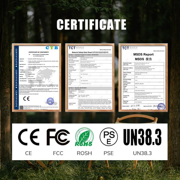 Station électrique à ions de lithium portable pour scooter moto ebike