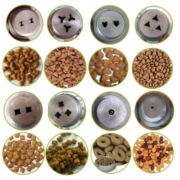 Animal Feed 200kg/H Dog Food Kibble Production Equipment