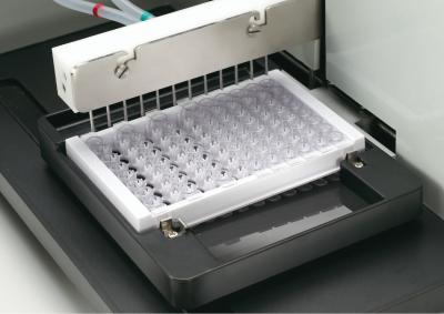 99 Programs Analyzer 96 Well ELISA Microplate Washer 8x12 12x8 PW-812