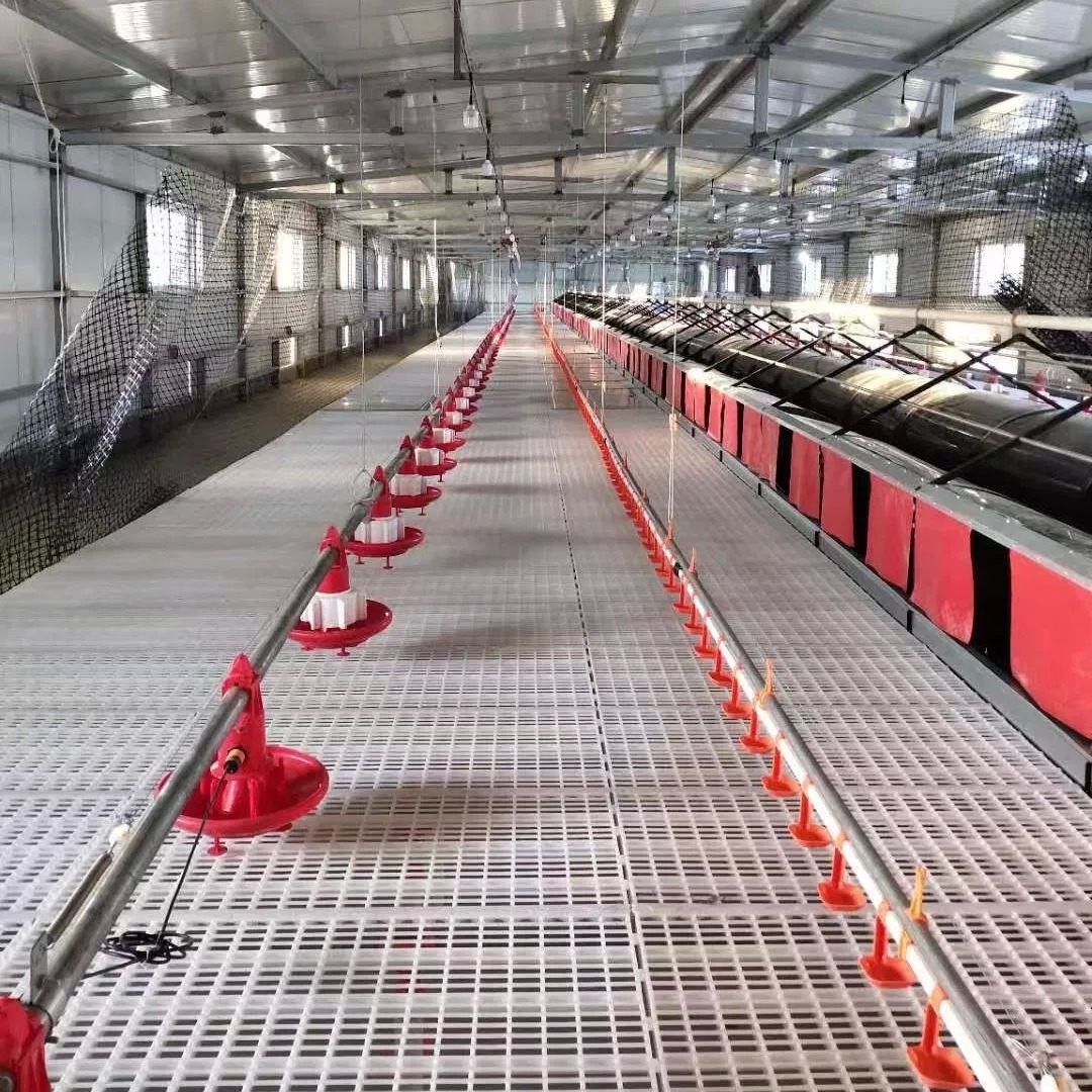 Floor Raising Automatic Chicken Nest Box Poultry Farming Egg Collecting Box