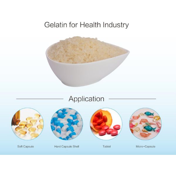Gélatine granulée jaune pâle Gélatine de vache dans les formulations pharmaceutiques