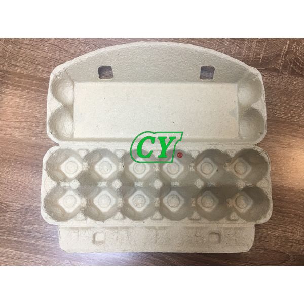 15 Cell 18 Cell Egg Carton Mold Diogradable Recycle For Holding Eggs