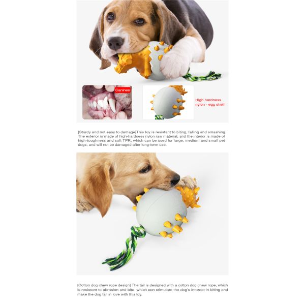 Most Popular High Quality Bite-resistant Star Pet Dog Cooling Pet Training Clean Teeth Chew Dog Toy
