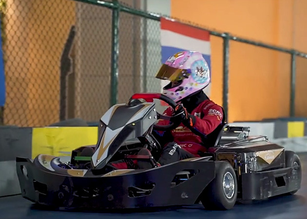 600w K1 крытые идут Karts 3H поручая для парка развлечений