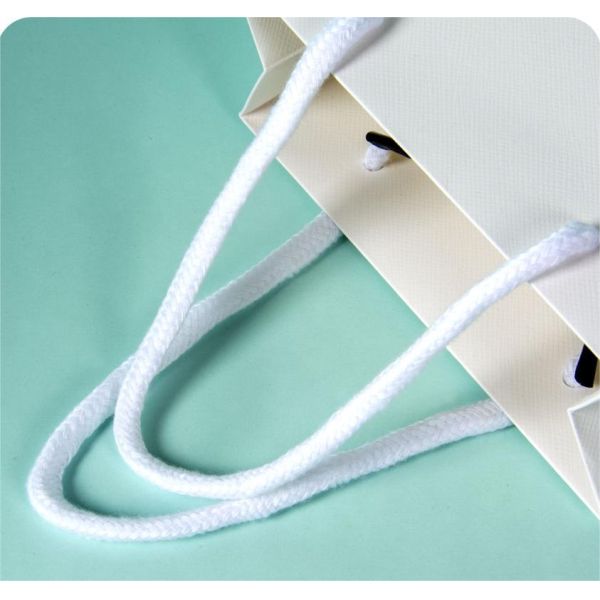 Cardboard Custom Reusable Packaging Shopping Bag with Your Own Logo and Gravure Printing