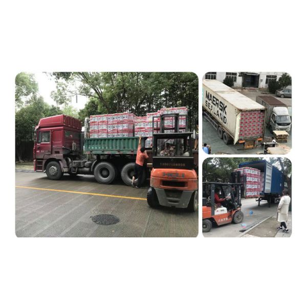 4mm Mini Multifunctional Household Sewing Machine Industrial