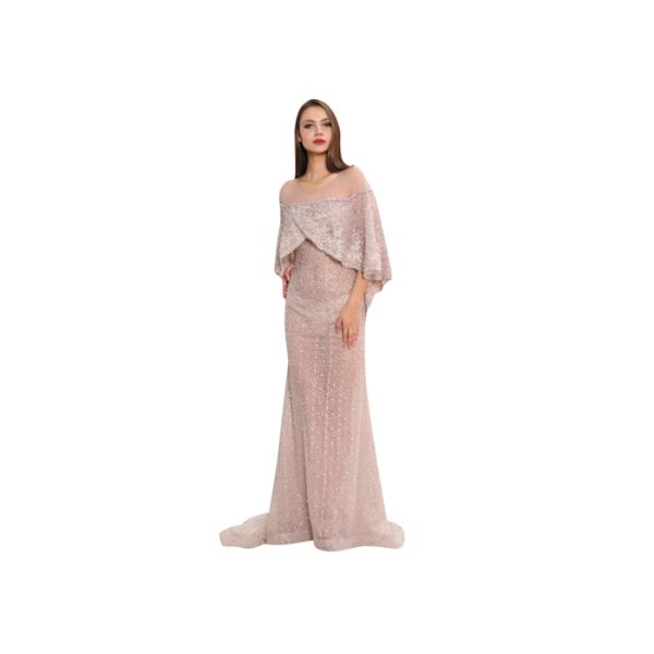 Fashion Sexy Ladies Champagne Middle Eastern Evening Dresses For Slim Girls And Woman