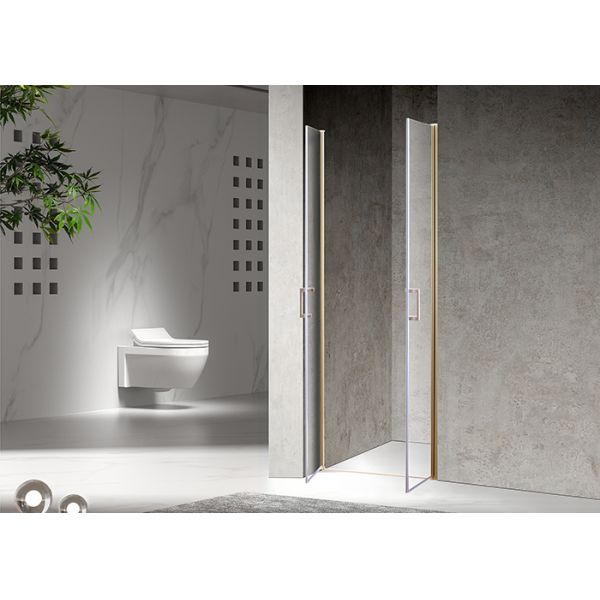 Нержавеющая сползая 6mm закаленная стеклянная дверь 1200X2000mm ливня