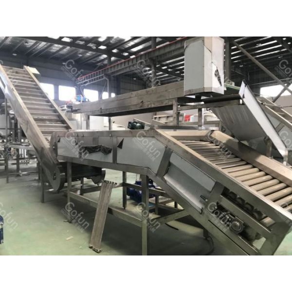 Specialized processing machine for mango puree processing production line