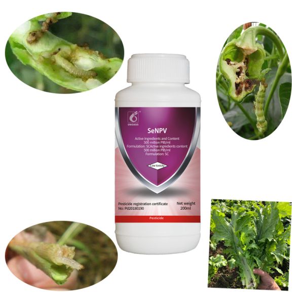 Biological Whitefly Tomato Insecticide Pure SeNPV Organic Pesticide Pest killing For Tomatoes