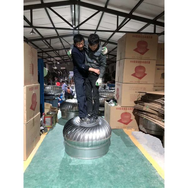 Produce LC-BEST 75mm to  LC-BEST 1500mm stainless steel No power roof turbine ventilation for factory, accept customzied