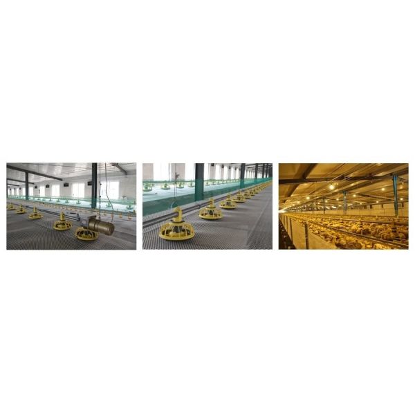 Floor Farming System Broiler Chicken House Poultry Feeders And Drinkers Farm Equipment