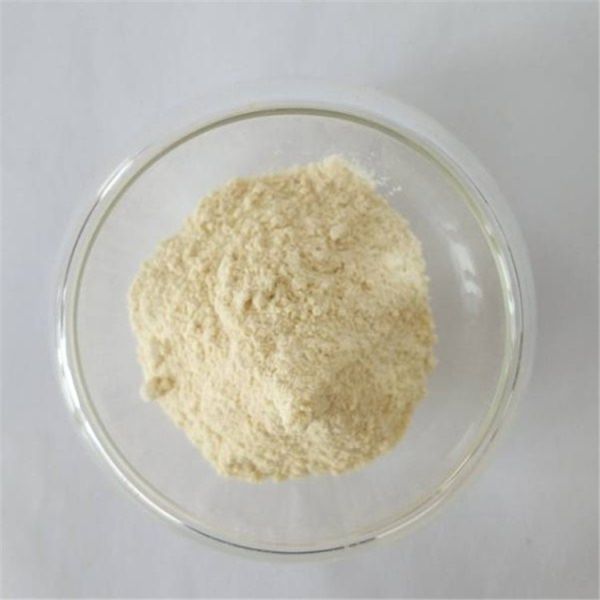 Pharmaceutical Grade Anti Cancer Galangal Powder