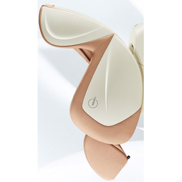 BN Space Capsule Intelligent Functional Recliner Electric Full Body Zero Gravity Massage Chair Foot Spa Chair Massage