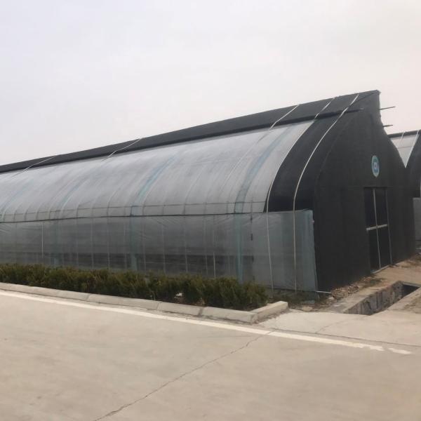 Largura personalizada Estufas tradicionais de vegetais solares com material de cobertura de filme