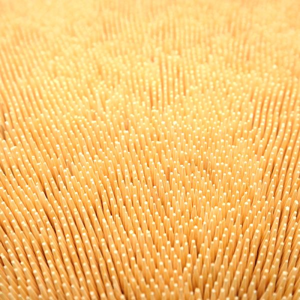 Зубоврачебные естественные бамбуковые деревянные инструменты зубочистки для заботы домашней гостиницы ресторана устной