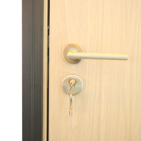 Modern Painted Wooden Doors Interior XDF1401 For Multi Scenes