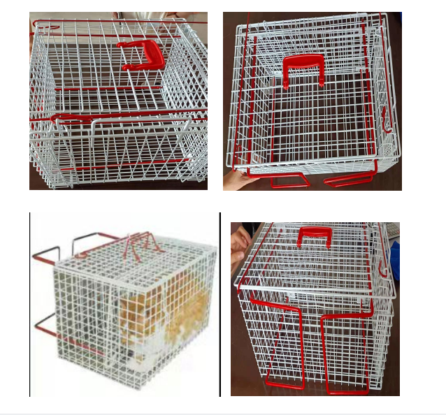 2mm wire mesh outdoor metal pvc coated galvanized pet display cage