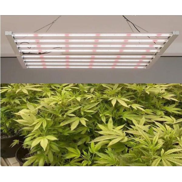 крытый завод 720W приведенный растет светлый полный спектр 5 лет гарантии