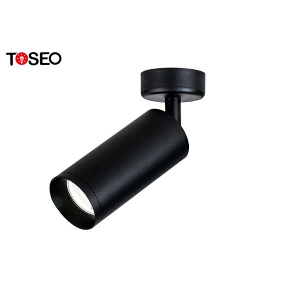 hotel Surface Mounted Downlight Adjustable Ip20 Black Ceiling Spotlights