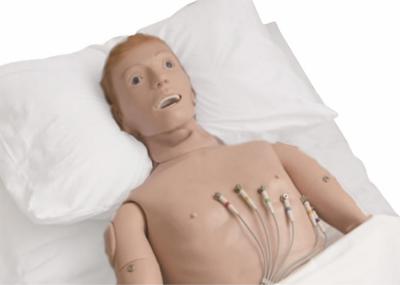 High Tech Elastic PVC Electrocardiogram Auscultation Simulator for Hospitals Learning ECG
