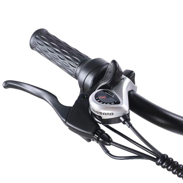 Frente 24 trasero 20 neumáticos de nieve Triciclo eléctrico con SHIMANO trasero de 7 velocidades y batería 48V15A