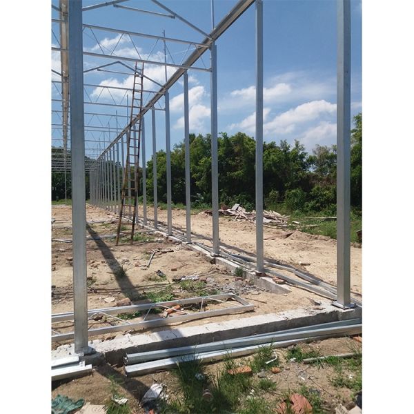 Invernadero con techo de policarbonato de plástico transparente para el cultivo de flores y hortalizas