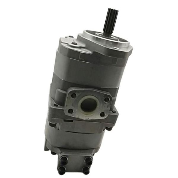 Hydraulic Gear Pump Excavator ZAX350-3 EX200-1 Pilot Pump Engine Part 4181700 9217993 Spare Parts