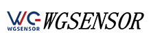 Henan Weiguo Intelligent Technology Co., Ltd.