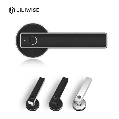 Mini controlo a distância eletrônico simplificado de WiFi do fechamento do puxador da porta da impressão digital das fechaduras da porta