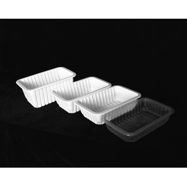260Mm Disposable Plastic Trays With Lids Food Grade PP Plastic Tray
