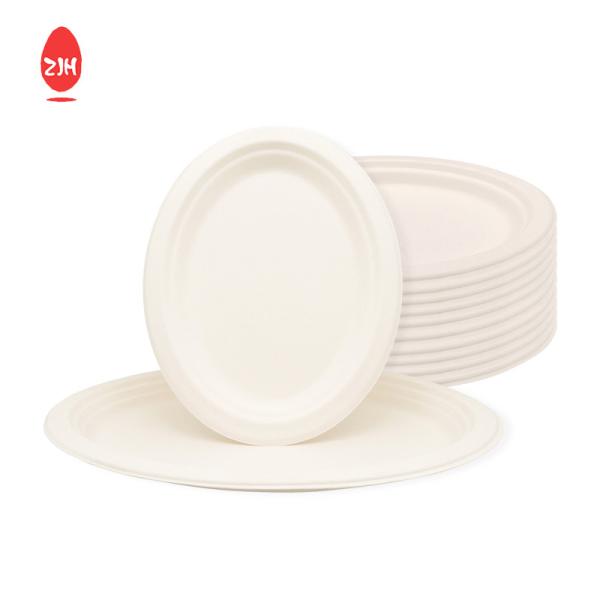 245mm Disposable Food Packaging Containers FSC Environmental Protection Tableware