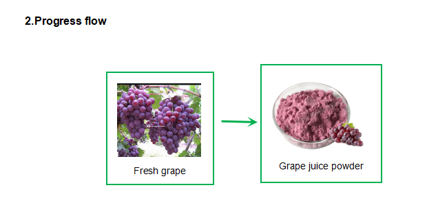 Uva Juice Powder Fruit Processing Line 1 - 10 toneladas por hora