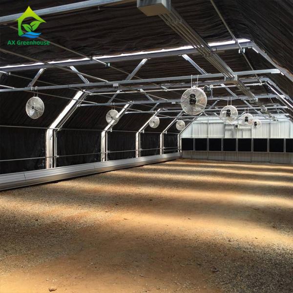 Mushroom Growing Blackout Light Deprivation Greenhouse Agricultural Green House